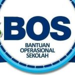 DANA BOS